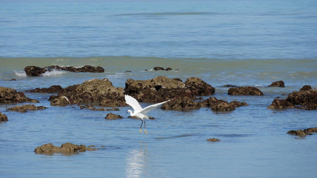L'Isola Aer B&B Lesina Εξωτερικό φωτογραφία